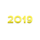 2019 jaar