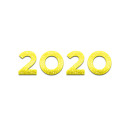 2020 jaar