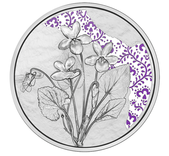 Oostenrijk 10 euro Zilveren munt Proof 2024 - Violet