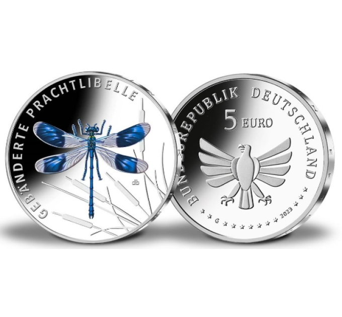 Duitsland 5 euro UNC 2023-3 - De wondere wereld van insecten - Gestreepte dame