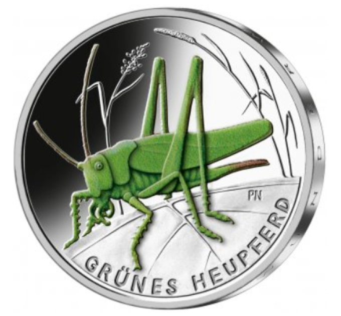 Duitsland 5 euro UNC 2024 - De wondere wereld van insecten - De Groene Krekel