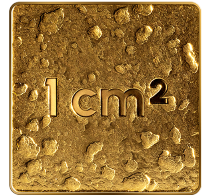Letland 5 euro goud proof 2025 - Ons land