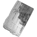Letland 5 euro zilver proof 2025 - Gemma