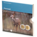 Luxemburg 5 euro zilver BU 2025 - Fauna en Flora - Europese ree