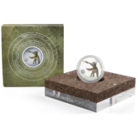 Portugal 5 euro zilver proof 2023 - Miragaia longicollum