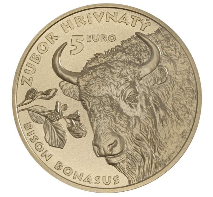 Slowakije 5 euro UNC 2024 - Fauna en Flora in Slowakije - De Europese bizon