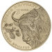 Slowakije 5 euro UNC 2024 - Fauna en Flora in Slowakije - De Europese bizon