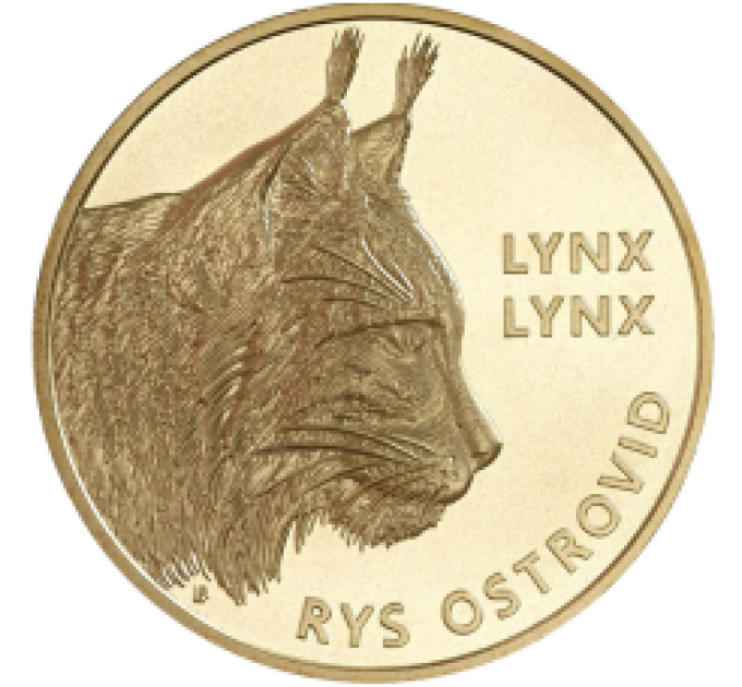 Slowakije 5 euro UNC 2022 - Fauna en Flora in Slowakije - Lynx