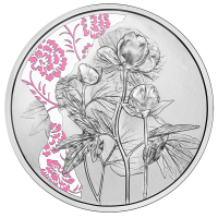 Oostenrijk 10 euro Zilveren munt Proof 2024 - PIOEN