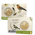 België 2,5 euro BU 2022 - 100 jaar Vogelbescherming in België - NL