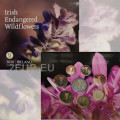Ierland euroset BU 2020 - Bedreigde Ierse wilde bloemen
