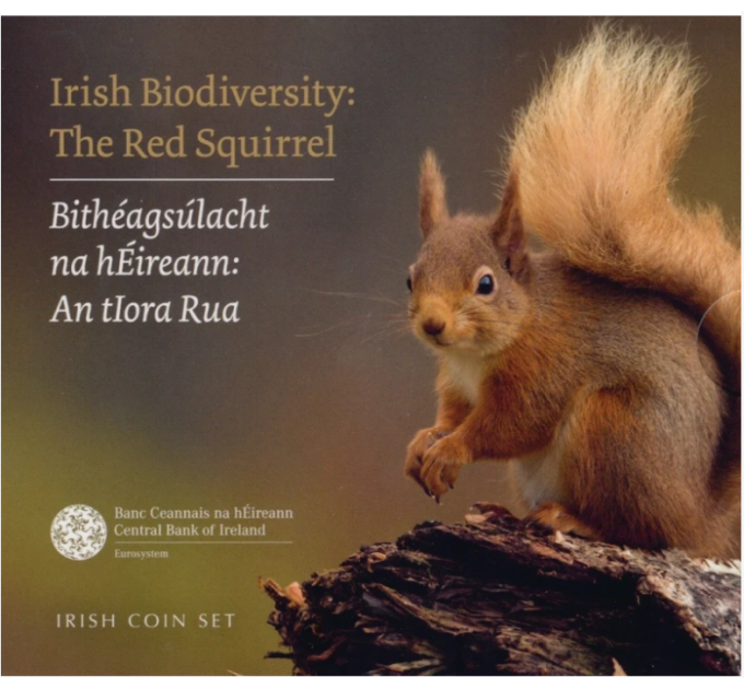 Ierland euroset BU 2023 - Biodiversiteit - De rode eekhoorn