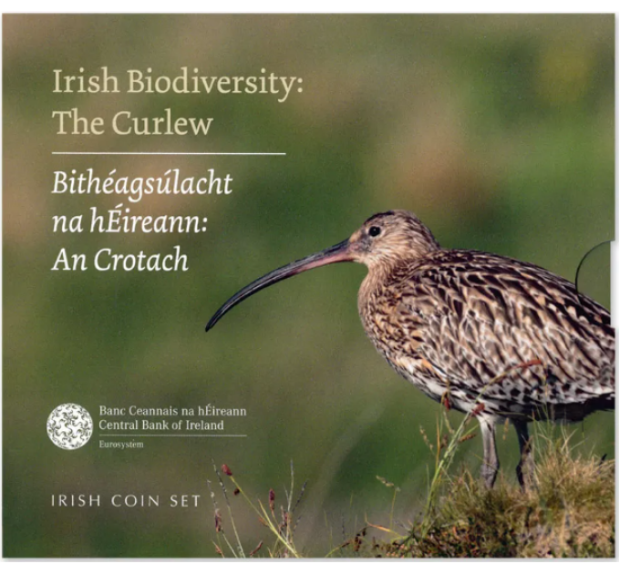 Ierland euroset BU 2024 - Biodiversiteit - De wulp