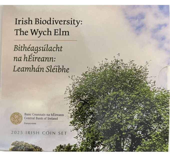 Ierland euroset BU 2025 - Biodiversiteit - de Wych Elm