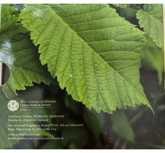 Ierland euroset BU 2025 - Biodiversiteit - de Wych Elm