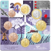 Nederlandse Euromuntset UNC 2024
